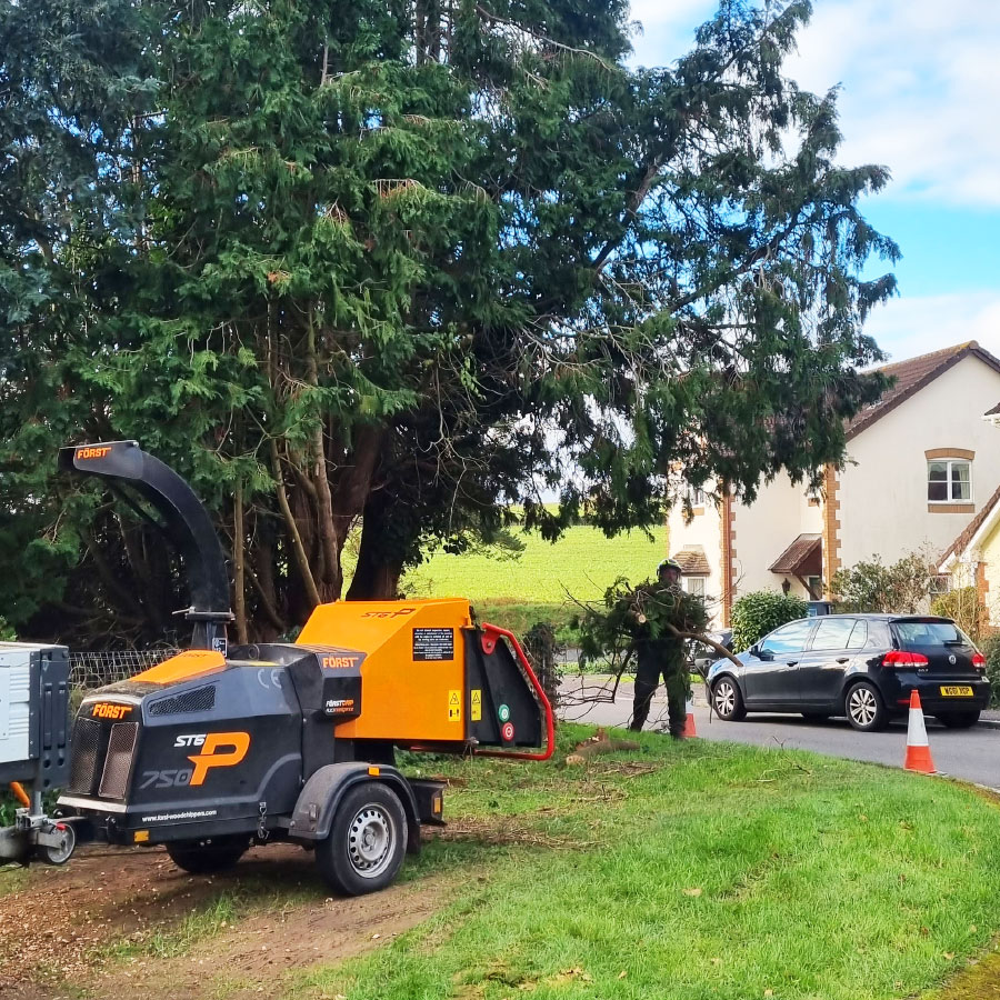 arborists-honiton