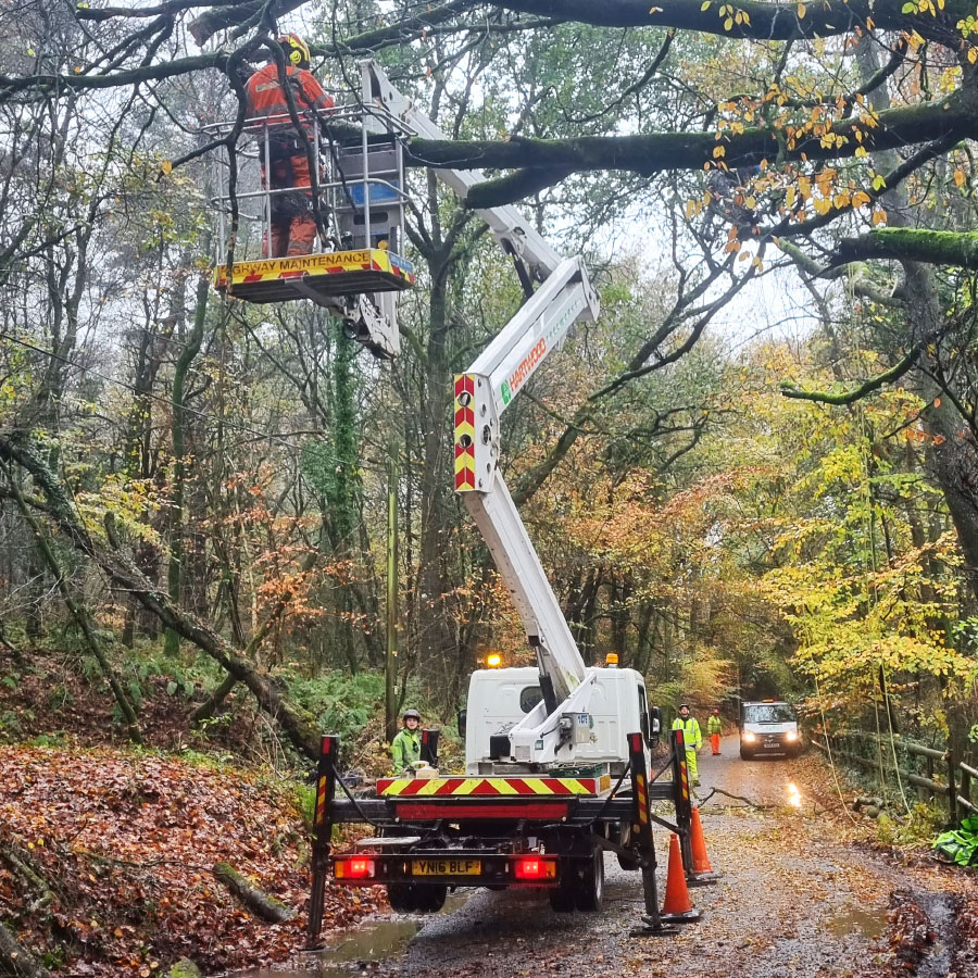 arborists-honiton