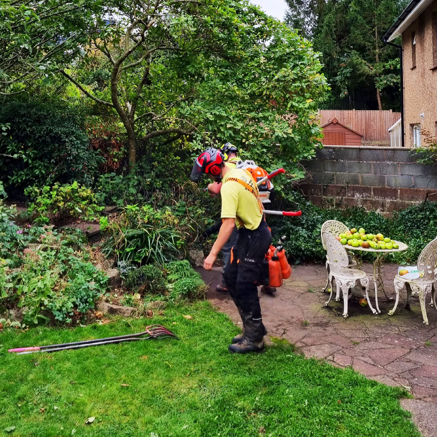 arborists-honiton