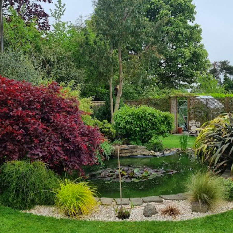 garden-maintenance_honiton