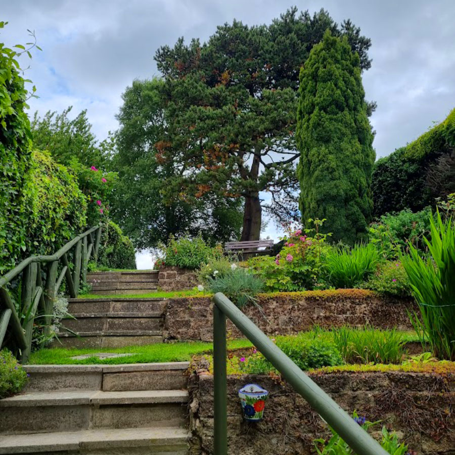 garden_maintenance-honiton garden maintenance honiton