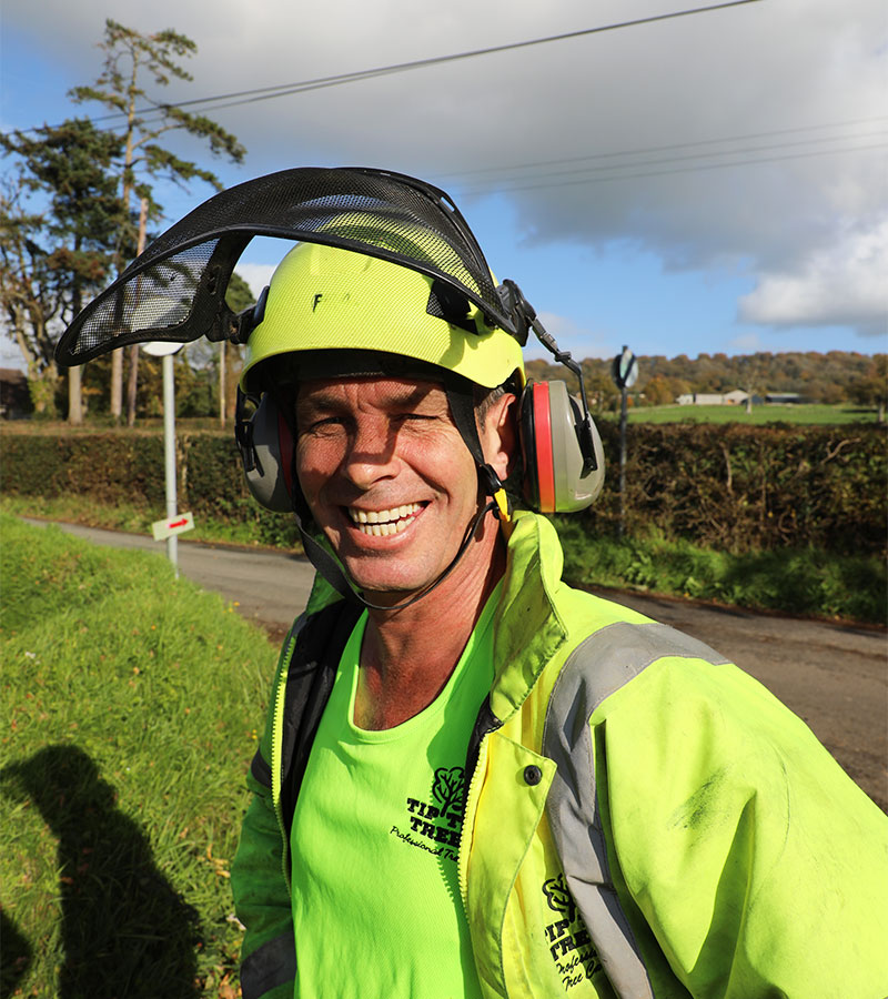 tree-cutting-service-sidmouth Tree Cutting Services Sidmouth