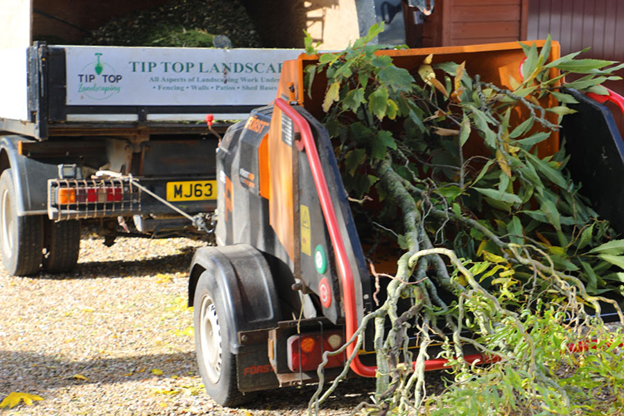Arborists Exmouth