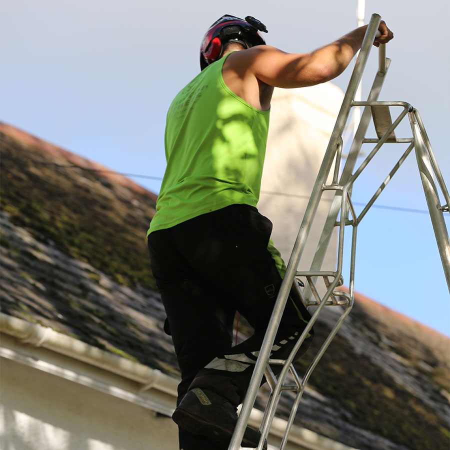 exmouth-tree_cutting-services Tree Cutting Services Exmouth