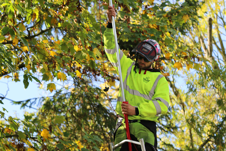 Arborists Exmouth