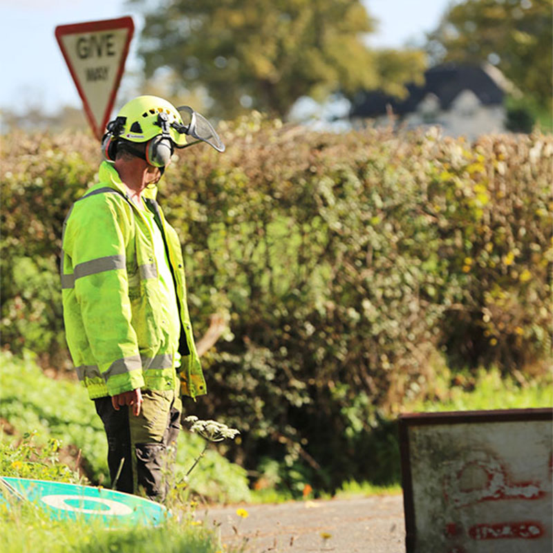 tree-cutting-services-exmouth Tree Cutting Services Exmouth
