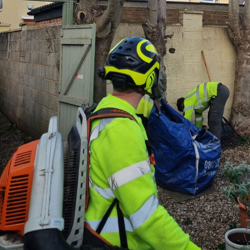 exmouth_tree-trimming Tree Trimming Exmouth