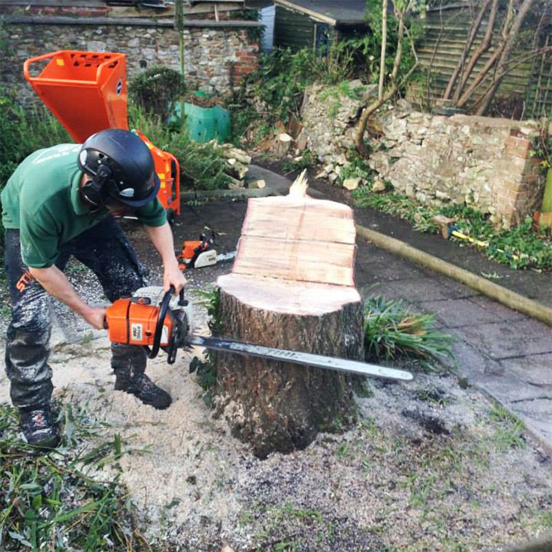 tree-cutting_services-axminster Tree Cutting Services Axminster