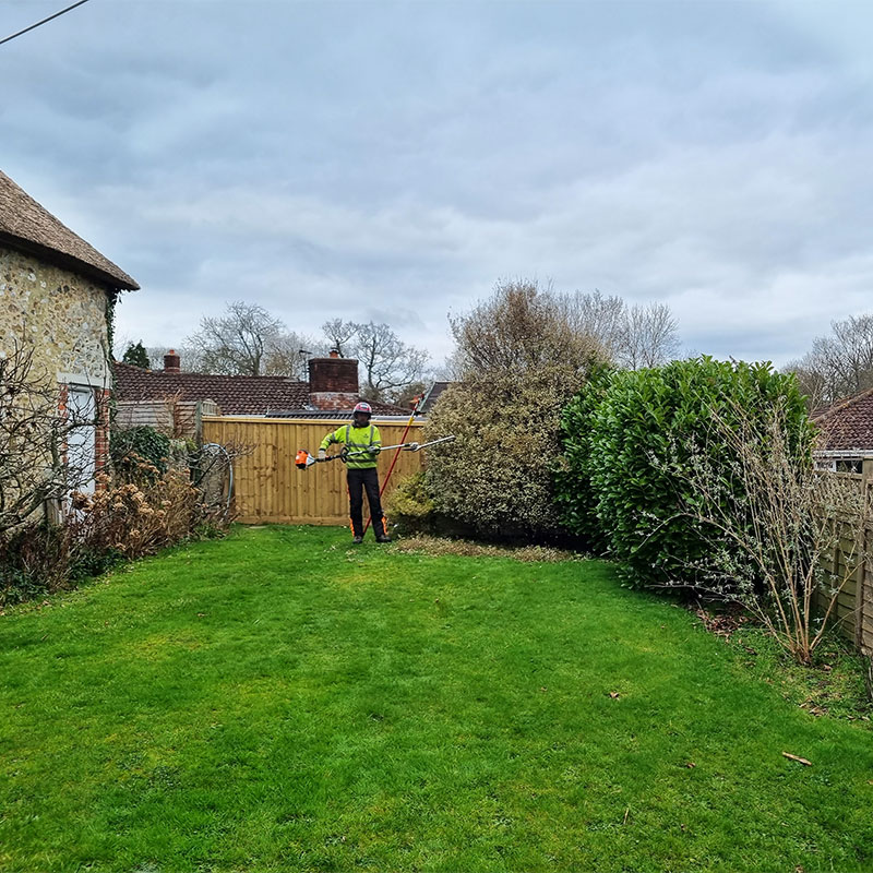 tree-cutting_services_axminster Tree Cutting Services Axminster
