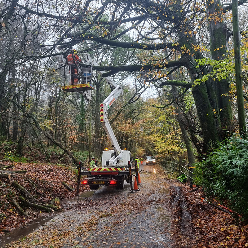 tree-trimming-in-exmouth Tree Trimming Exmouth
