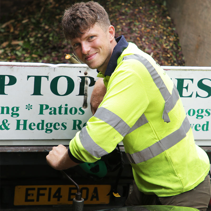 tree-cutting_services-honiton